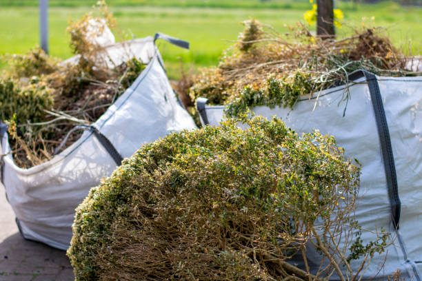 Best Local Junk Hauling  in Los Alamitos, CA